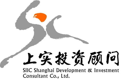 上海上实置业投资咨询有限公司